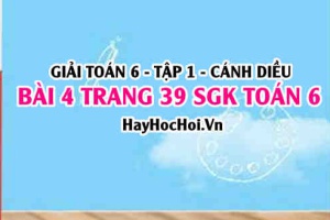 Giải bài 4 trang 39 Toán 6 Tập 1 SGK Cánh Diều